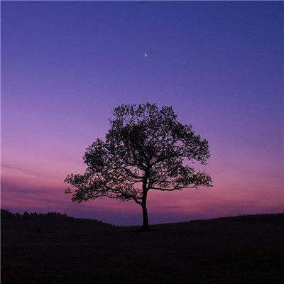 风云体育官方网站下载