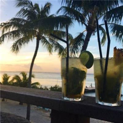 168极速赛车官网计划