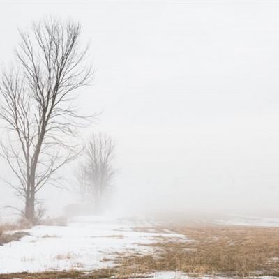 888电玩城游戏厅